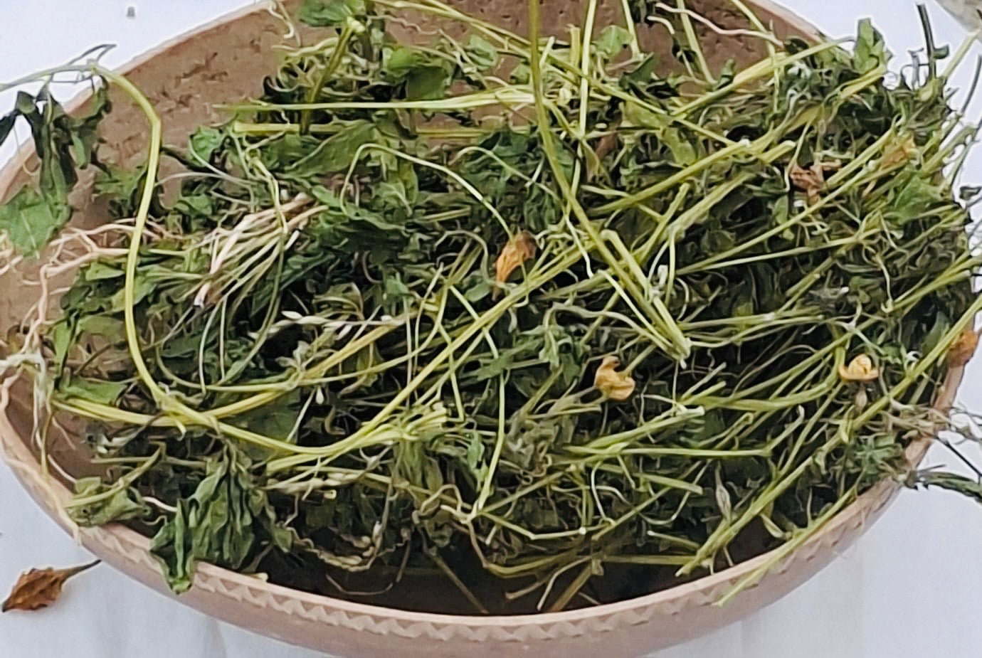 Corilla Tea