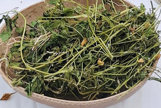 Corilla Bush