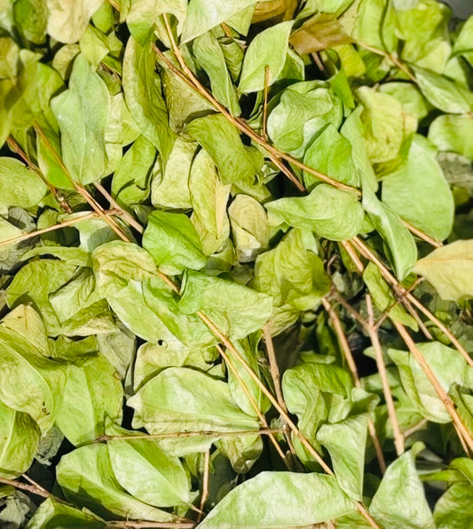 Suriname Cherry Tea